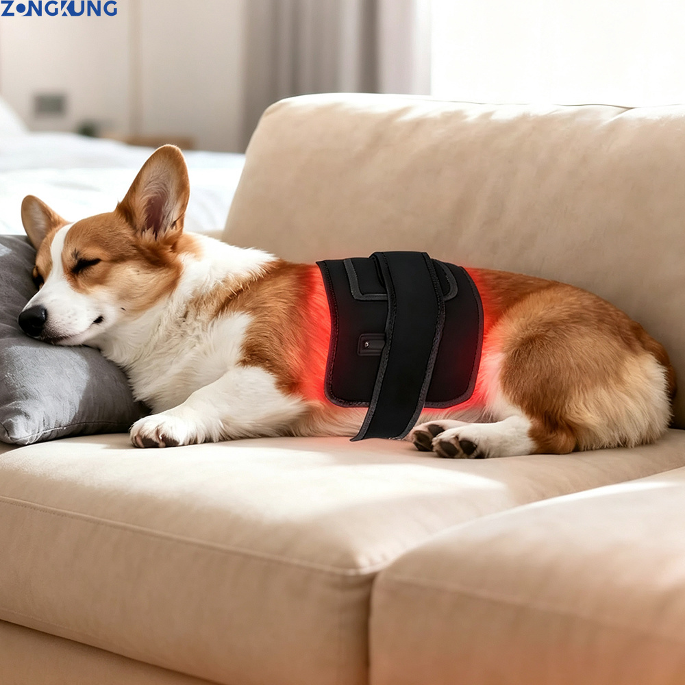 Terapia com Luz Vermelha para  - Galvanic Skin Sensor avaliação e preço
